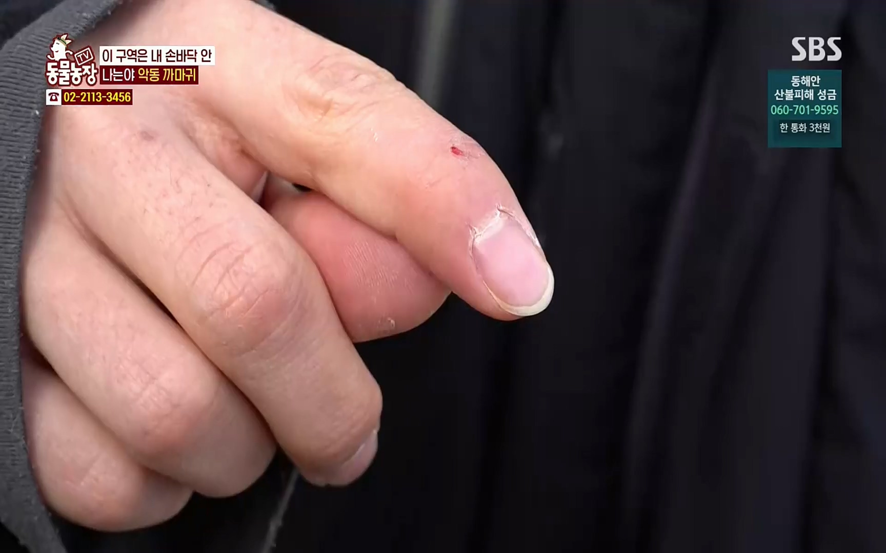 TV 동물농장.E1062.220327p.H264-F1RST.mp4_20220327_174432.062.jpg