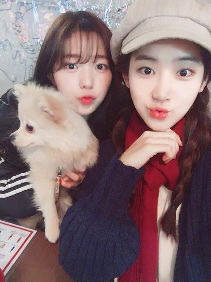 친구사이 이미지