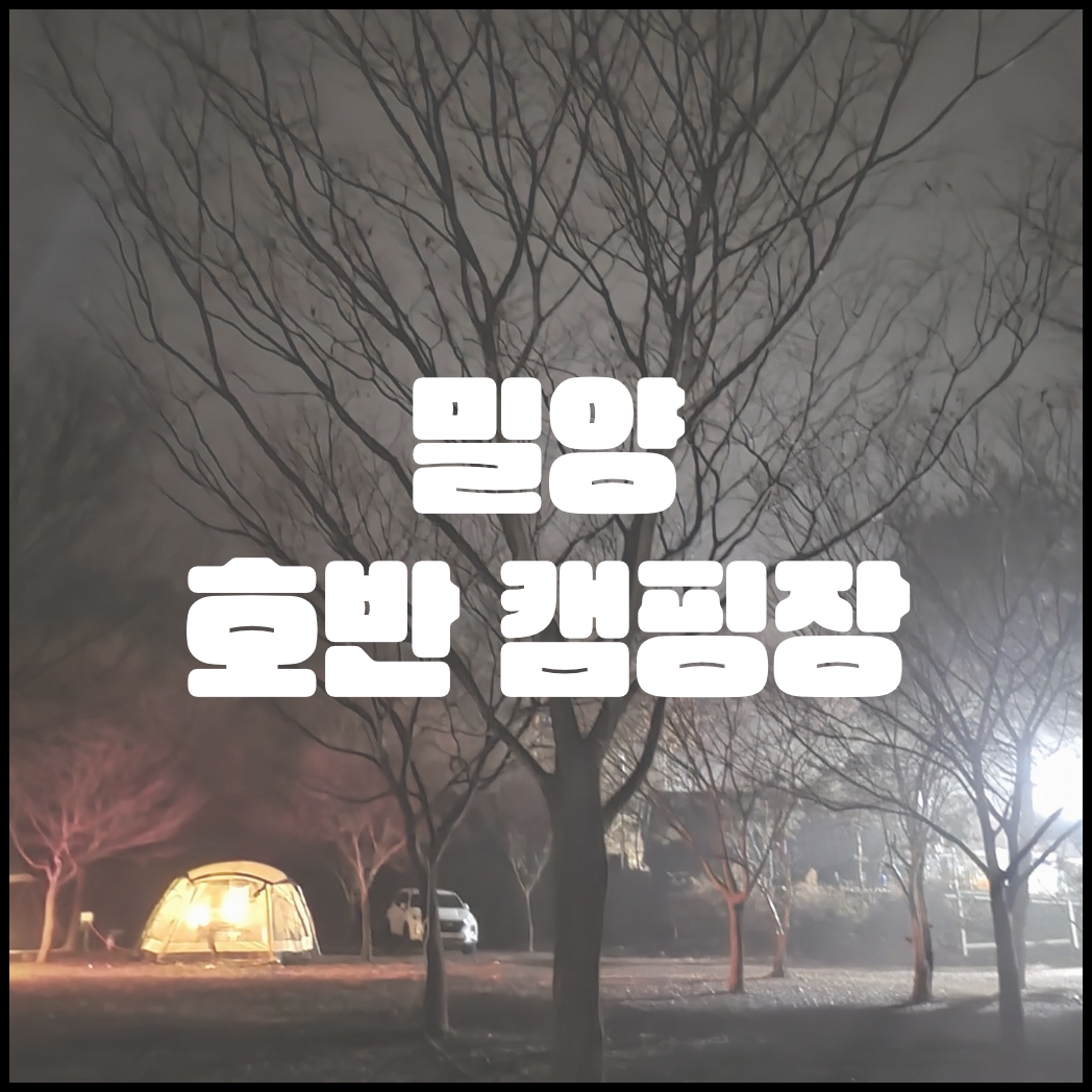  [ 경남 캠핑 / 밀양 캠핑 ] #캠핑8 - 밀양 호반 캠핑장, 우중 캠핑