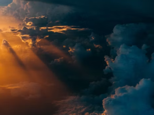 방광에 좋은 음식