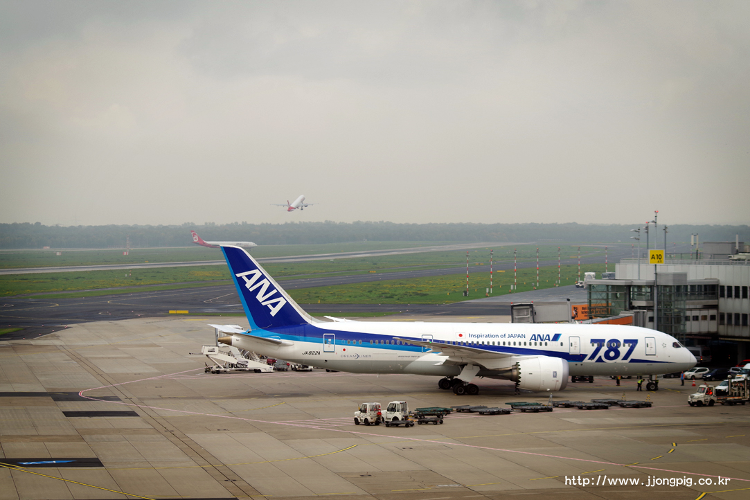 전일본공수(ANA항공) All Nippon Airways NH ANA JA822A 787-8 Boeing 787-8 B788 뒤셀도르프 Dusseldorf - International (Rhein-Ruhr / Lohausen) 뒤셀도르프 Dusseldorf DUS EDDL