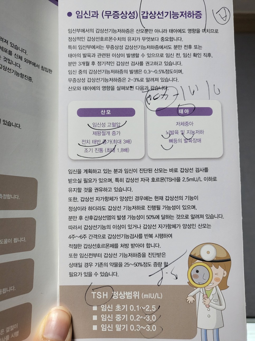 임신8주:: 동탄제일병원 / 산전검사 결과 / 임산부 갑상선 수치 2