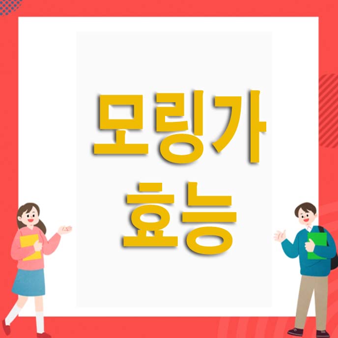 모링가 효능