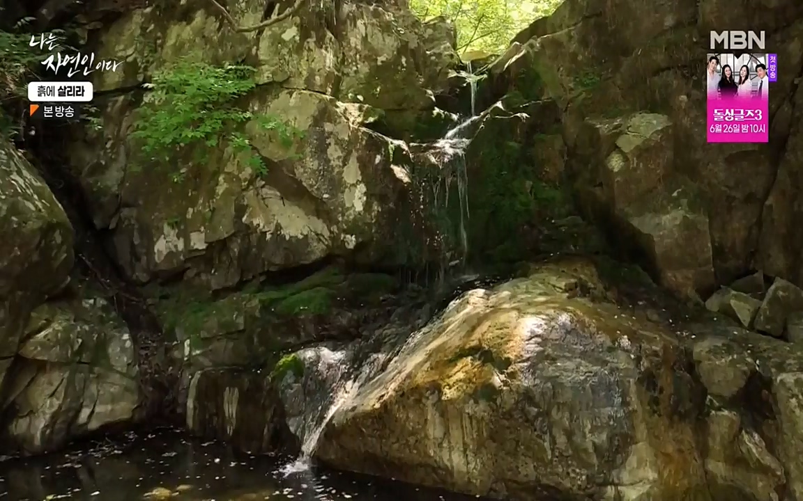 나는 자연인이다.E507.220623p-NEXT.mp4_20220623_204037.572.jpg