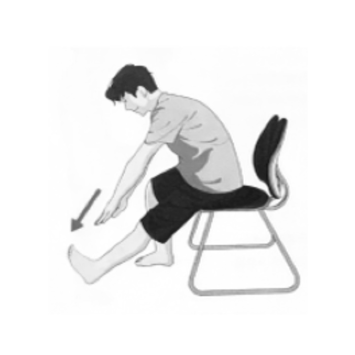 의자에 앉아 유연성 검사 Chair sit and reach test