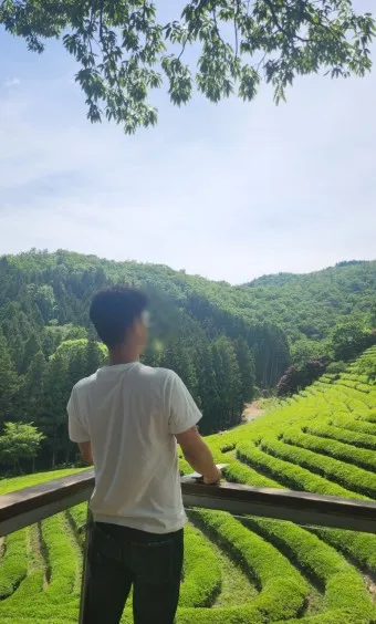 보성 가볼만한곳 베스트10 현지인 추천 필수코스_20