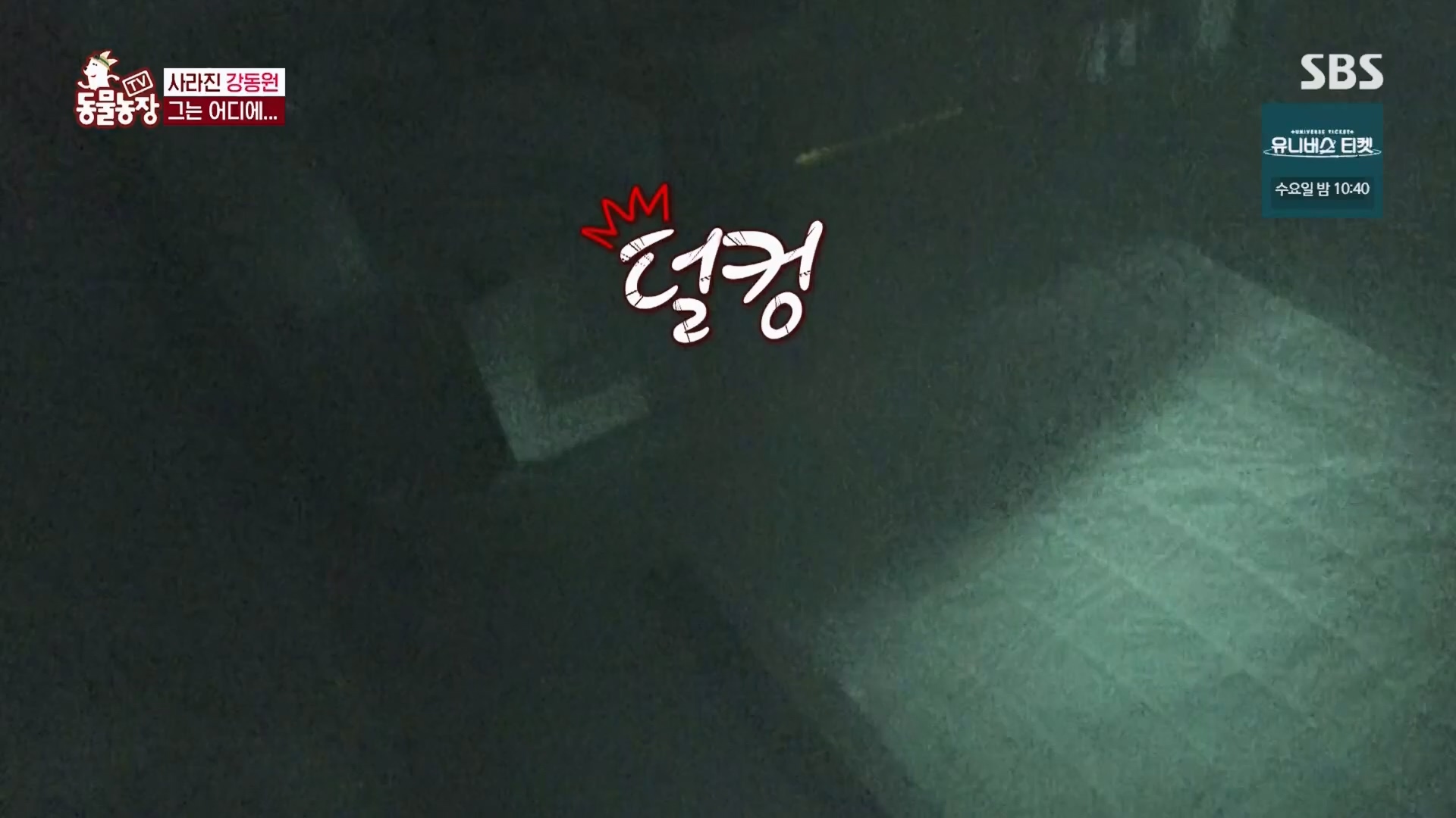 TV 동물농장.E1148.231203p.H264-F1RST.mp4_20231203_181438.098.jpg