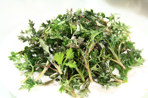 The Efficacy of Mugwort in Women&#39;s Health: Exploring its Warming Properties.