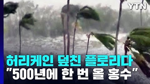 이안전 이미지