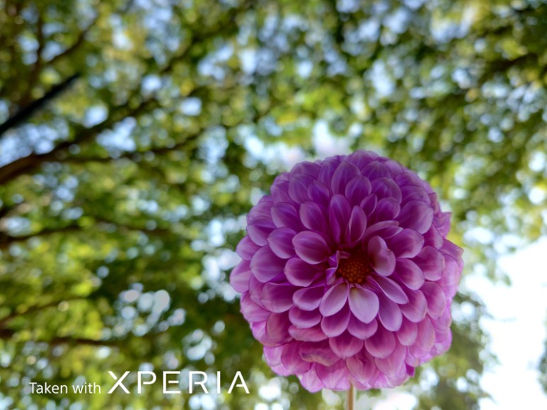 엑스페리아 프로I(Xperia PRO-I) 소니 1인치 센서를 장착한 5G 스마트폰