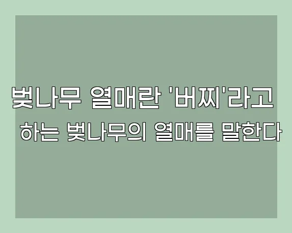 벚나무 열매란 '버찌'라고 하는 벚나무의 열매를 말한다