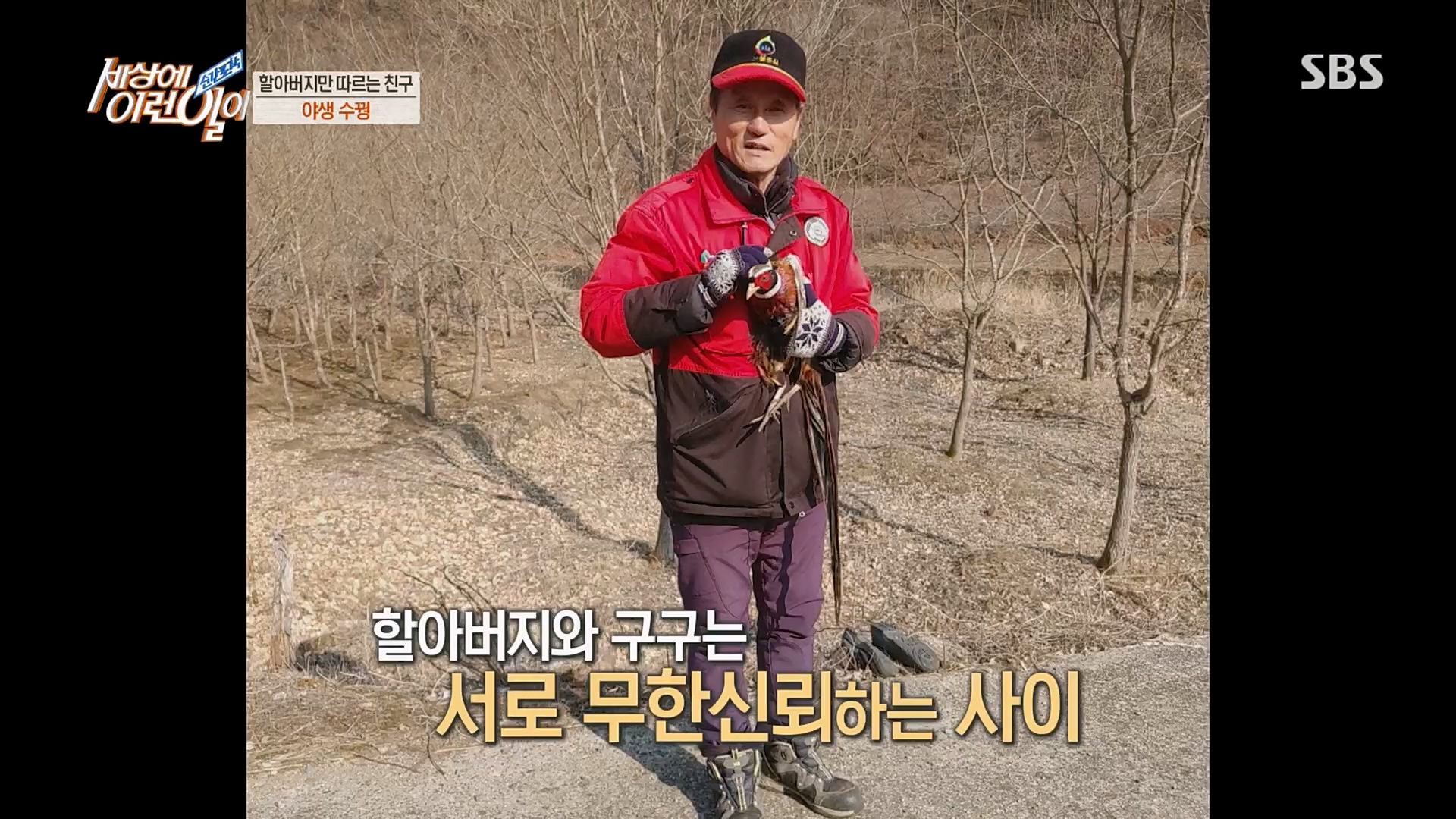 순간포착 세상에 이런일이.E1224.230404p.H264-F1RST.mp4_20230405_193510.516.jpg