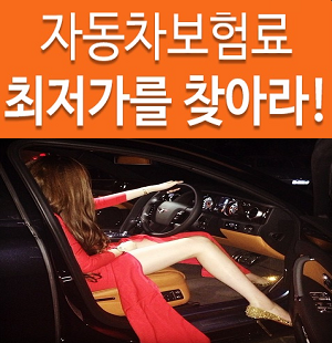  자동차보험종류 별 자동차보험료조회 서비스