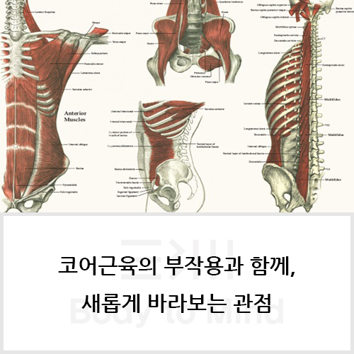  코어근육(core muscle)의 부작용(side effect)과 함께, 새롭게 바라보는 관점