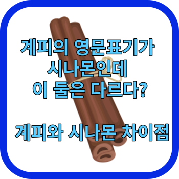 계피와 시나몬 차이점