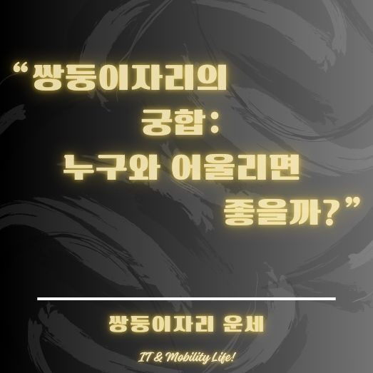 쌍둥이자리 운세