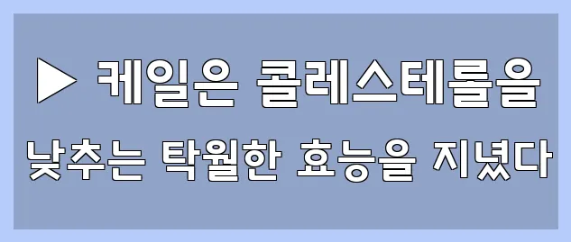  ▶ 케일은 콜레스테롤을 낮추는 탁월한 효능을 지녔다