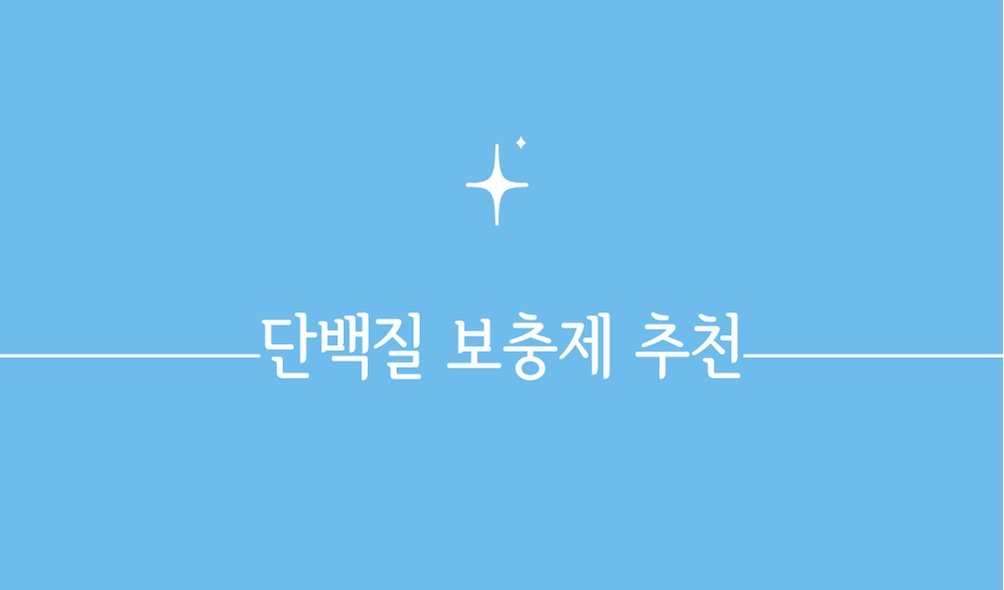 단백질 보충제 추천