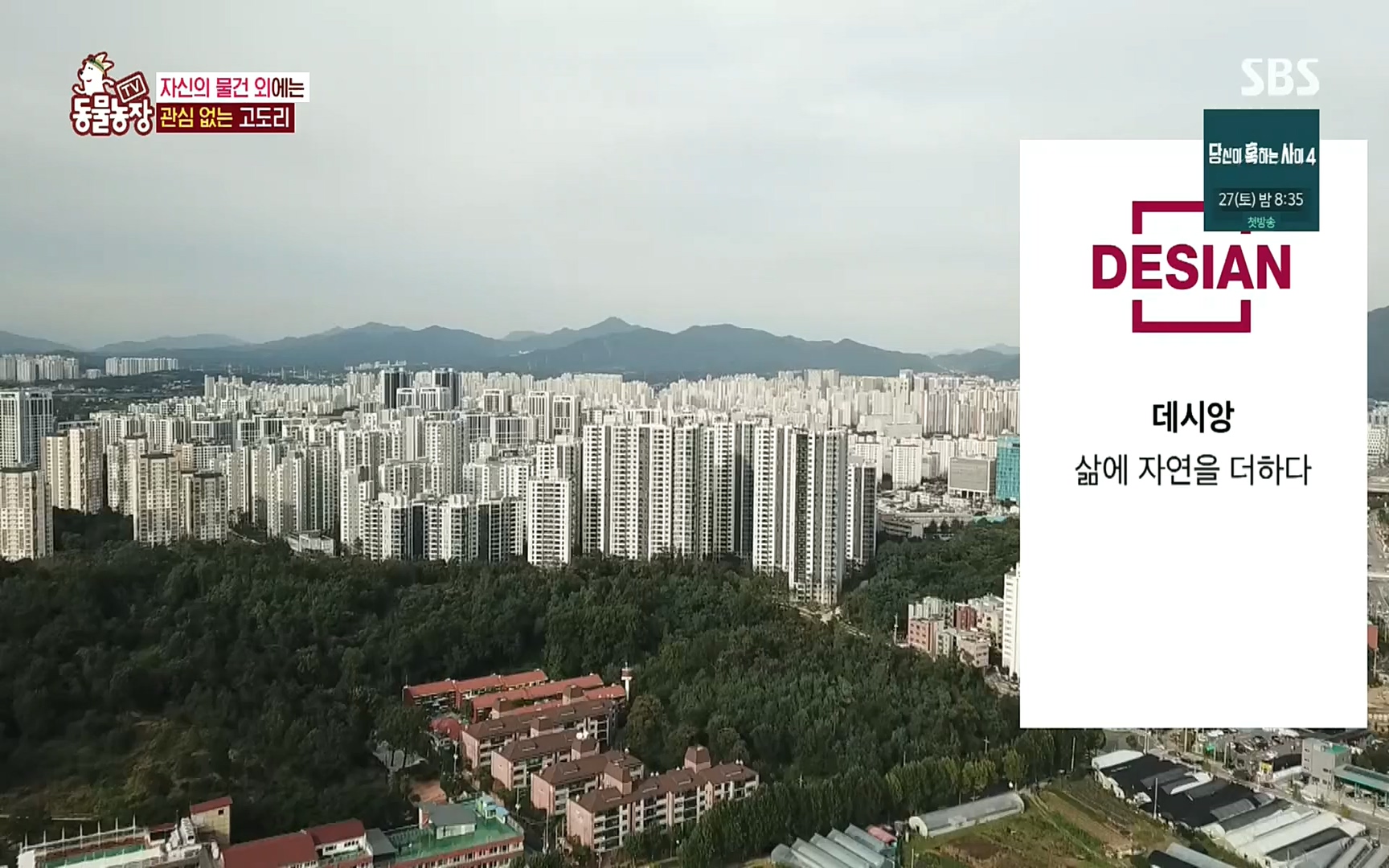 TV 동물농장.E1083.220821p.H264-F1RST.mp4_20220821_183653.826.jpg