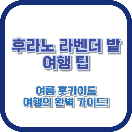 후라노 라벤더 밭 여행 팁: 여름 홋카이도 여행의 완벽 가이드!