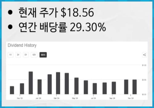MSFO 연간배당률