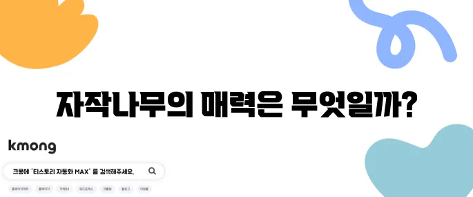 용인 자작나무숲과 베툴라 카페, 꼭 가봐야 할 명소입니다!