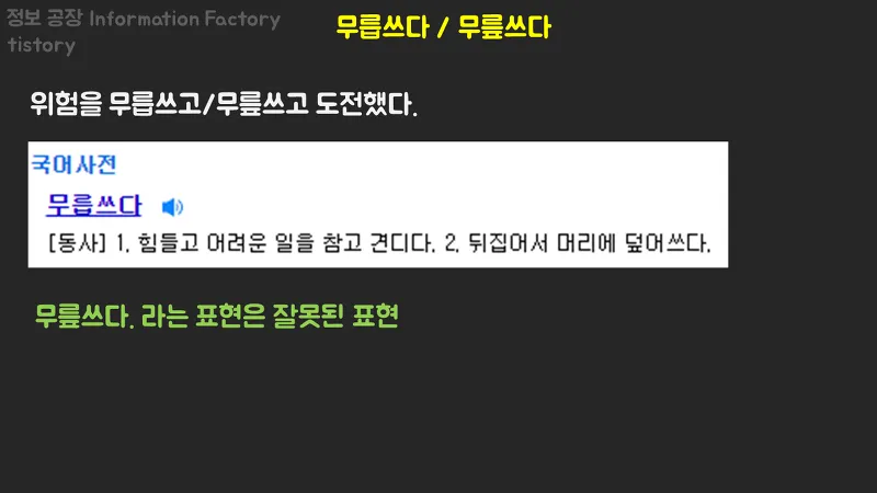 무릎쓰고 무릅쓰고 맞춤법 맞는 표현 예시_2