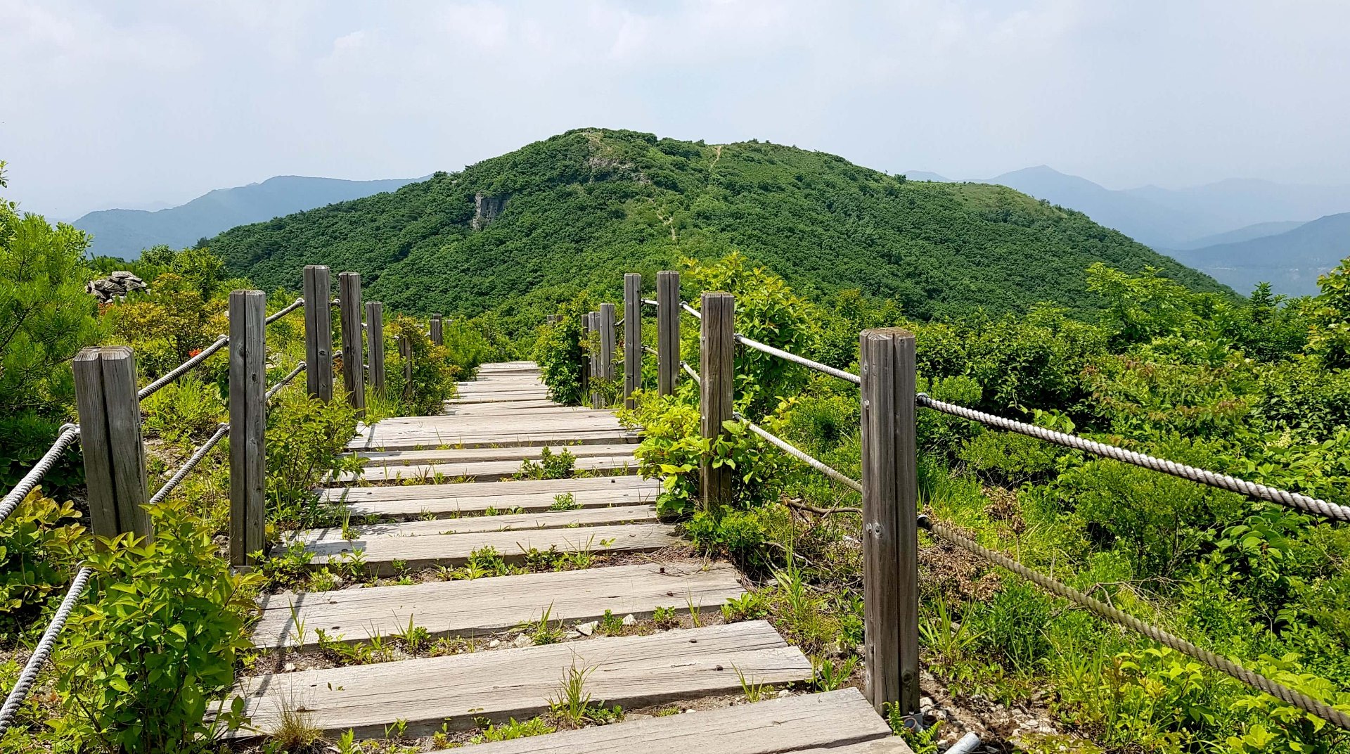 울산 고헌산