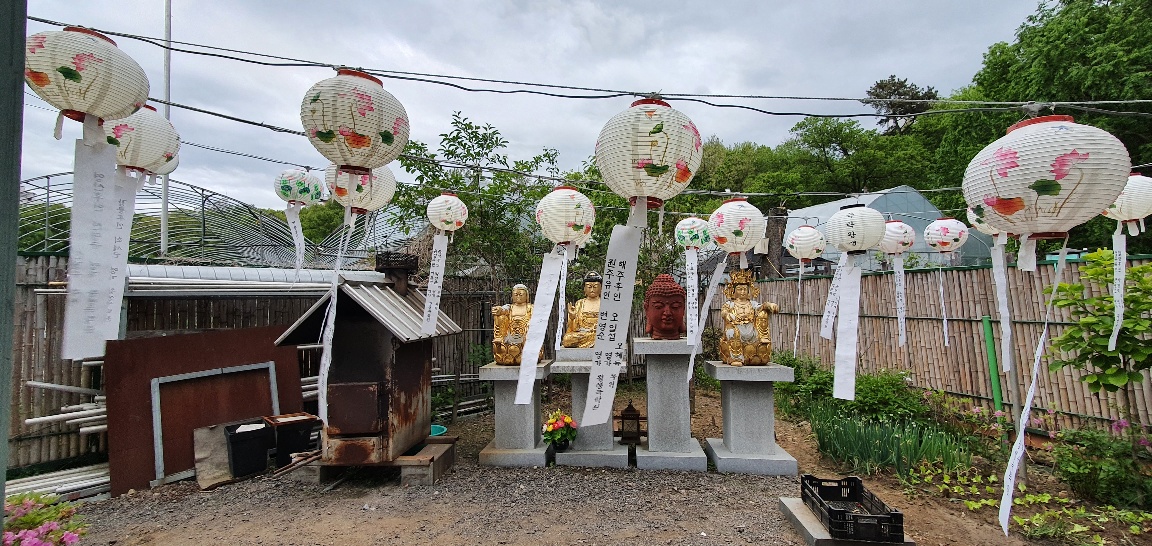 img.jpg