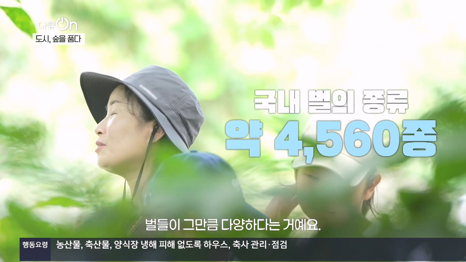 다큐 On.E232.231216p.H264-F1RST.mp4_20231220_212225.657.jpg