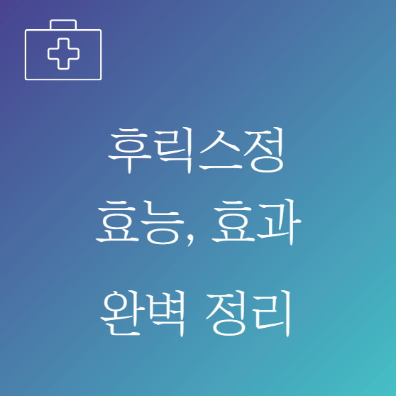 후릭스정