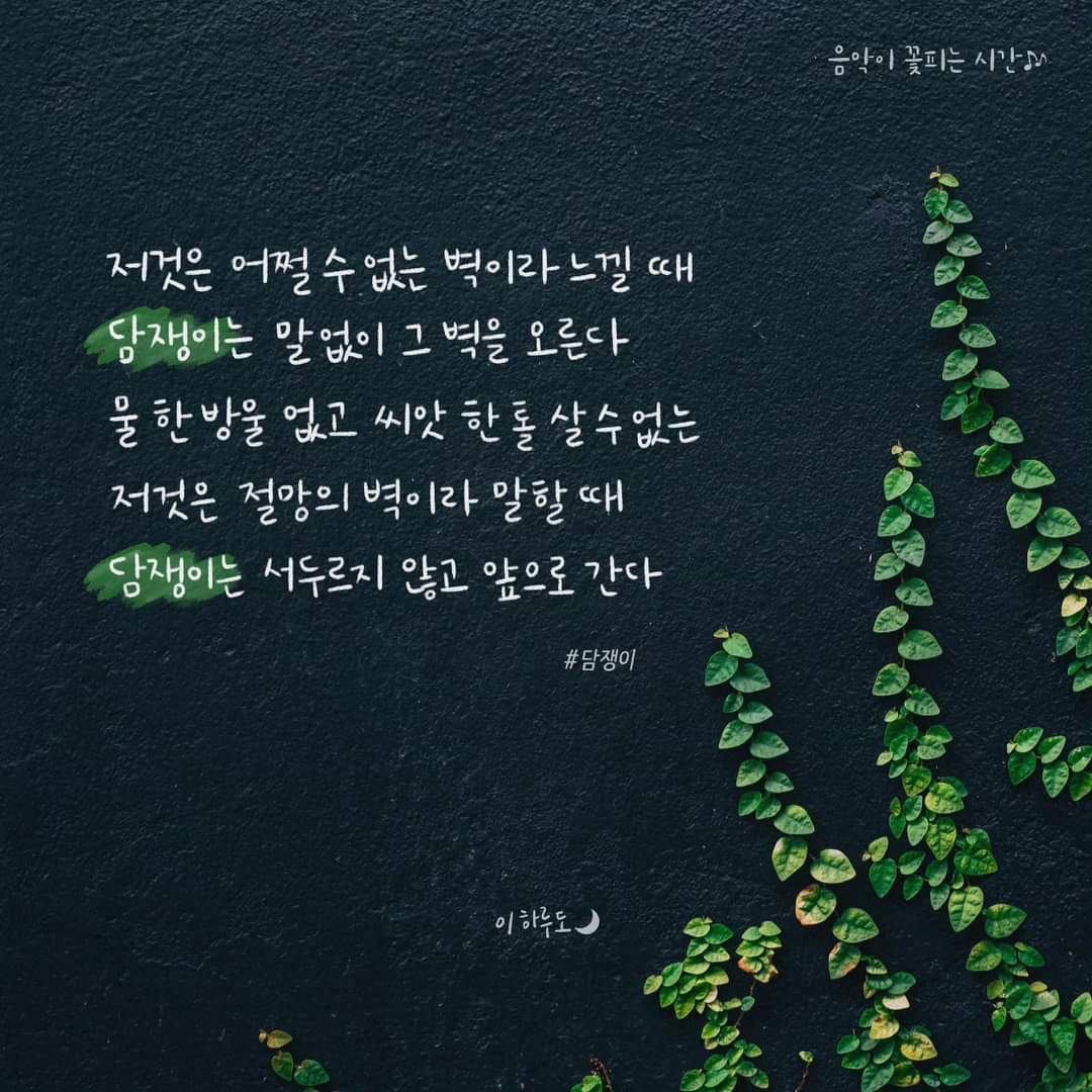 꽃이피는시간 이미지