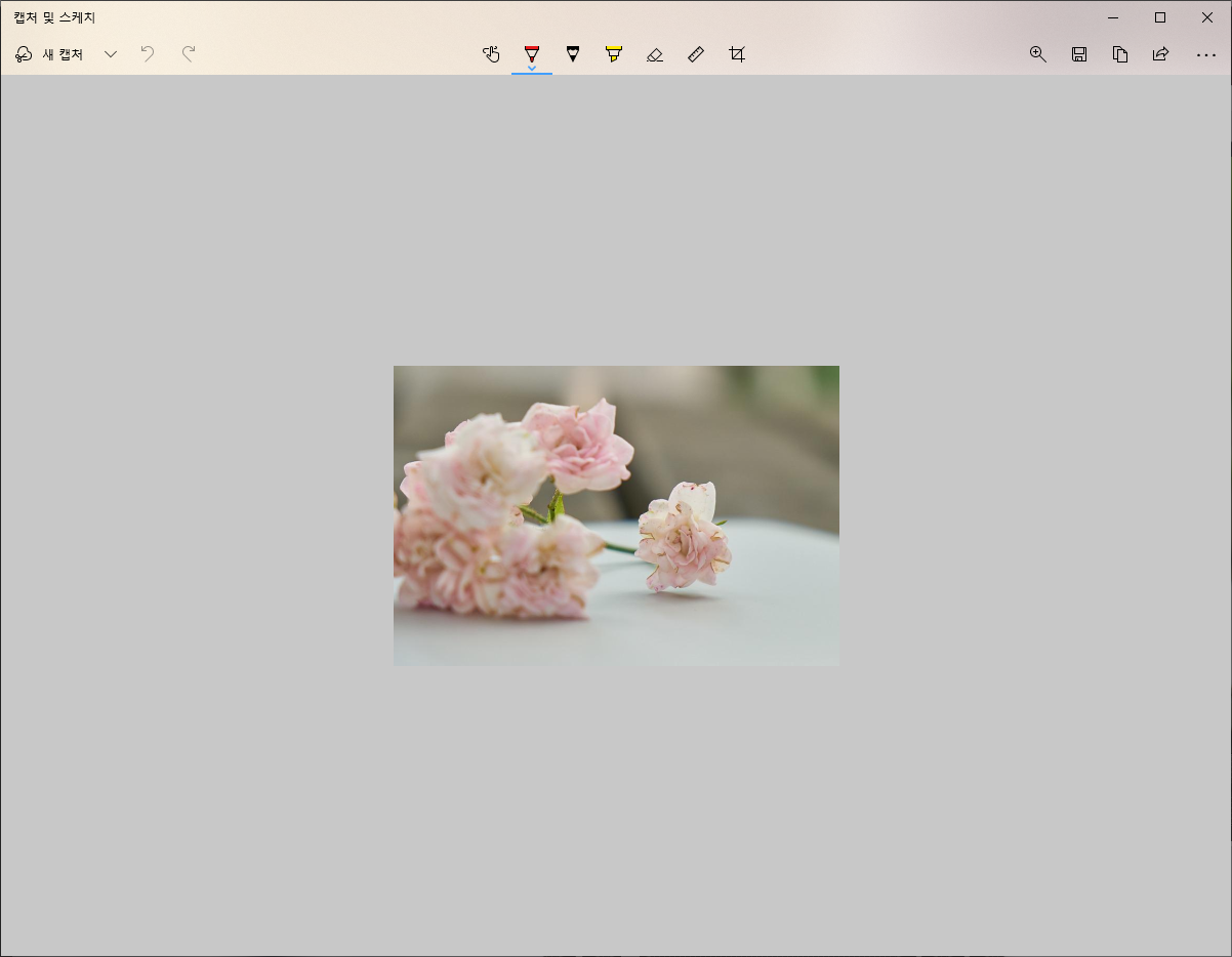 캡쳐 및 스케치