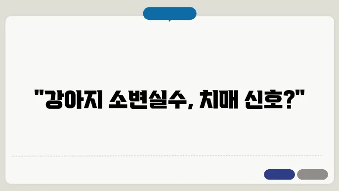 강아지 소변실수, 치매증상일까? 알아보는 방법