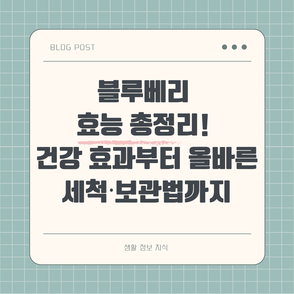 블루베리 효능 건강 효과 올바른 세척&amp;#44; 보관법 