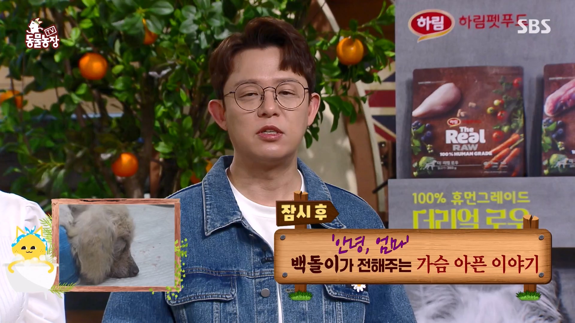 TV 동물농장.E1164.240324p-NEXT.mp4_20240324_172332.615.jpg