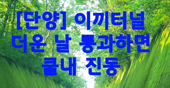  [단양] 이끼터널 더운 날 통과하면 쿨내 진동