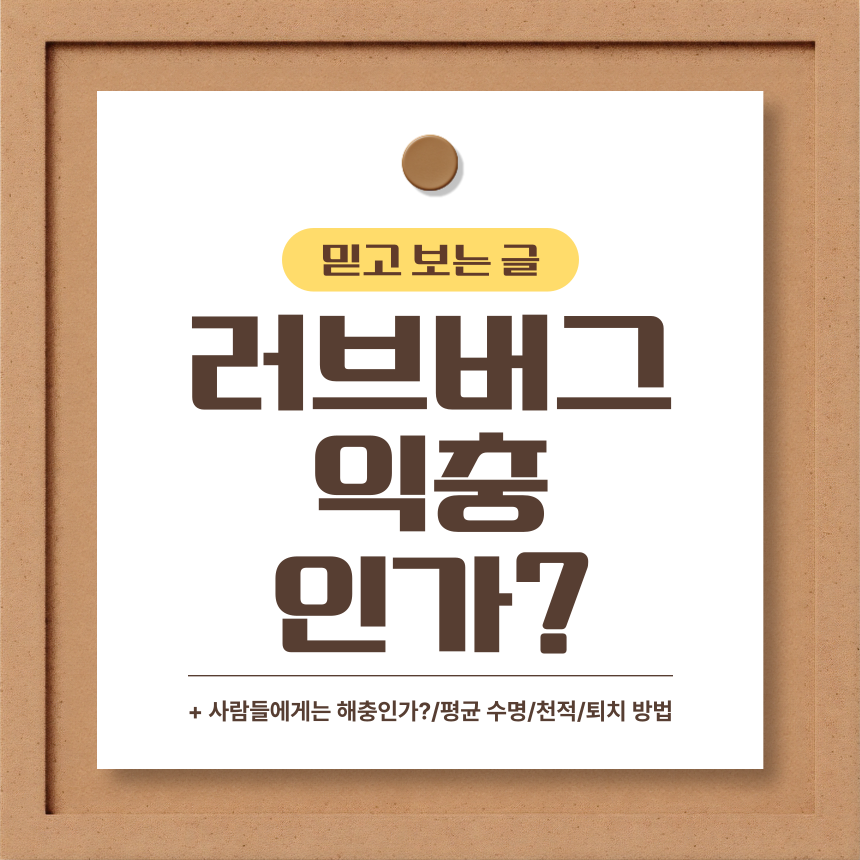  러브 버그 익충 인가?