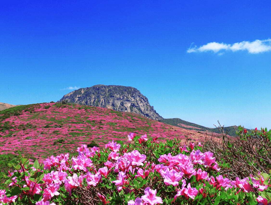 한라산 등반코스