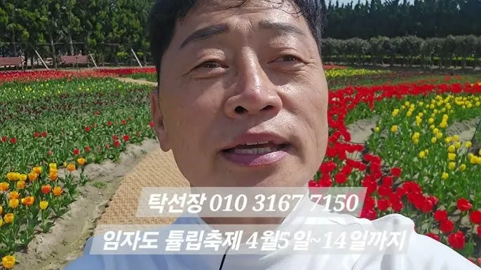 신안 임자도 튤립축제 기간 입장료 가볼만한 곳 총정리_7