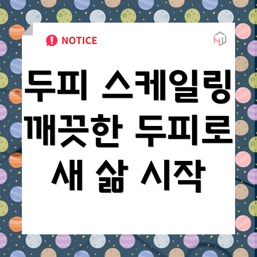 가수원동 두피 스케일링