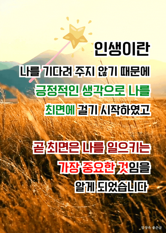 황금빛 갈대밭과 따뜻한 빛이 어우러진 풍경 이미지