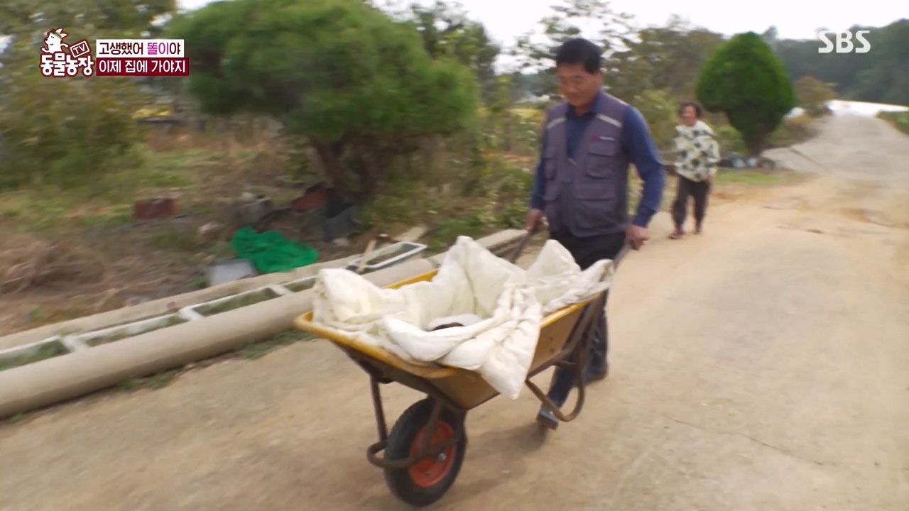 TV 동물농장.E1146.231120p-NEXT.mp4_20231119_175308.141.jpg