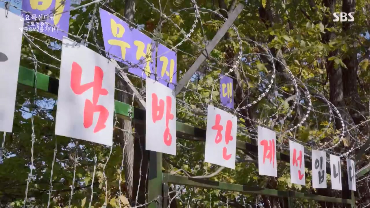 일요특선 다큐멘터리.E344.231204p-NEXT.mp4_20231206_194837.441.jpg