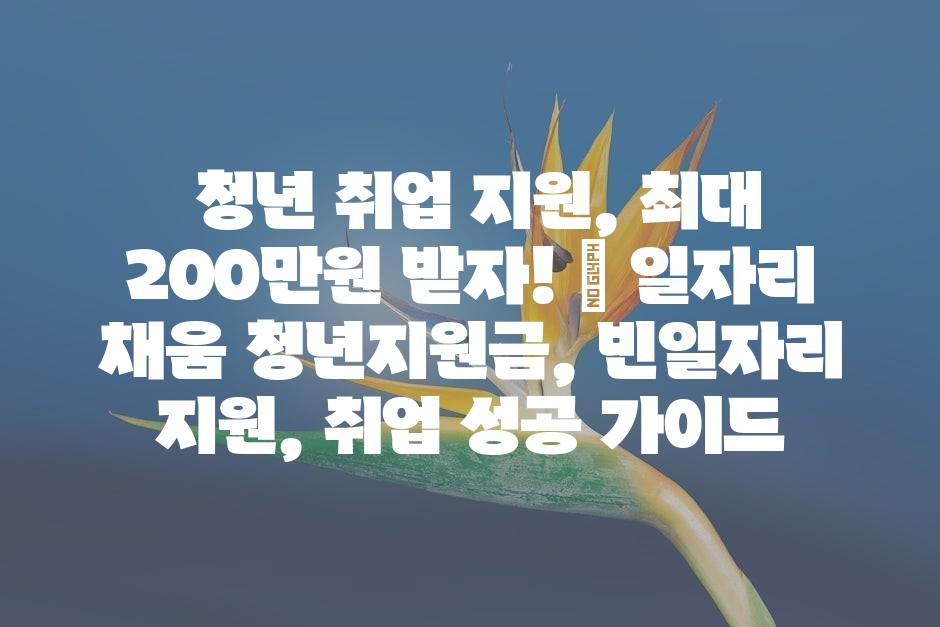 샘플 (45)