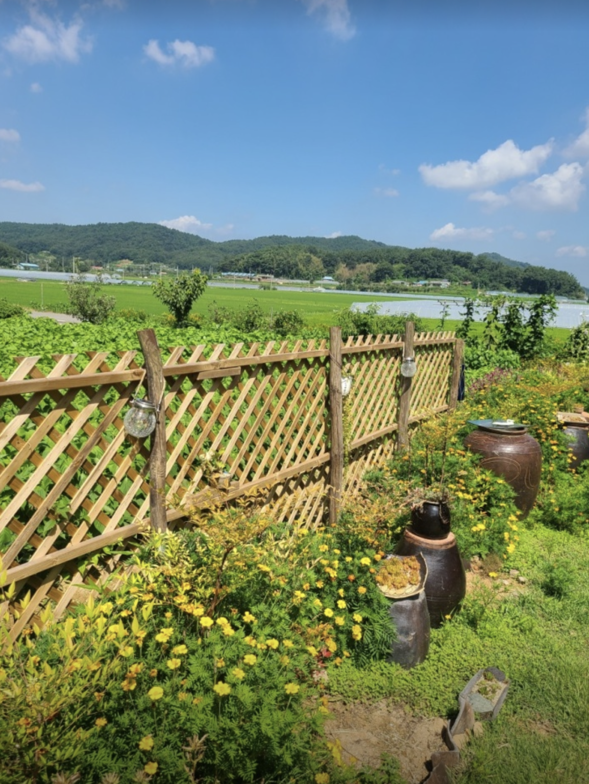 부여에서 아름다운 한옥체험, 내사랑, 내한옥집, 나나랜드 6