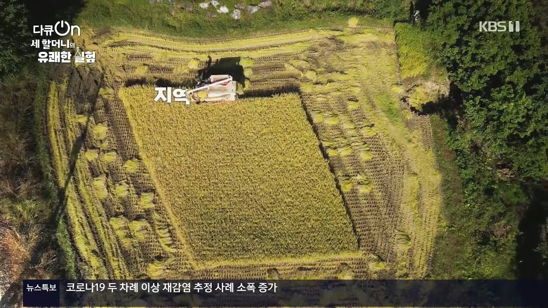 다큐 On.E166.221028p.H264-F1RST.mp4_20221031_194204.388.jpg