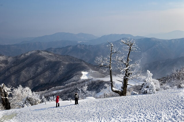 태백산 눈축제