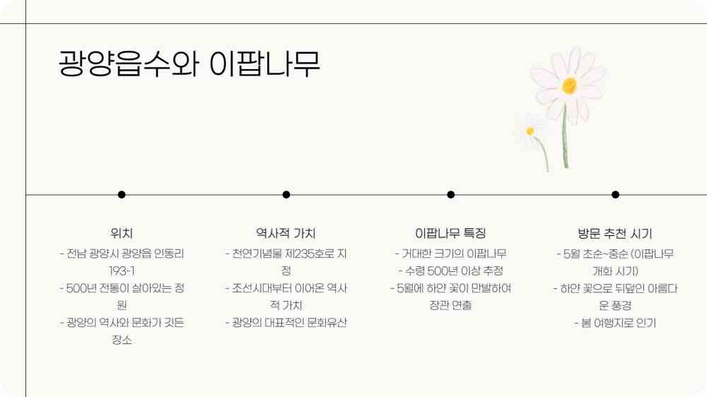 광양 가볼만한곳 베스트10
