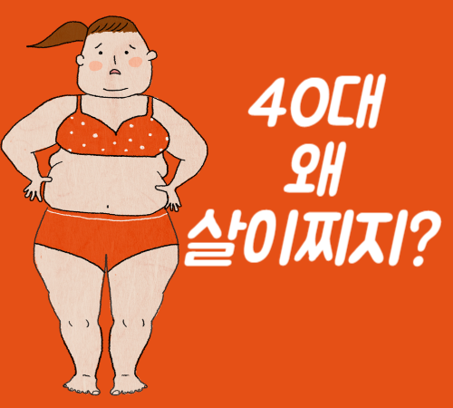 40대 살이 찌는 이유?